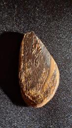 Een Australische Queensland Yowah Boulder Opaal, Sieraden, Tassen en Uiterlijk, Edelstenen, Ophalen of Verzenden, Zo goed als nieuw