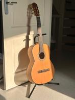 Gitaar Salvador Cortez met serienummer, Ophalen