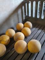 SPEELBALLEN VOOR VARKENS, Meerdere dieren, Varken