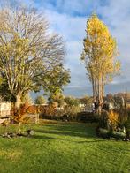 Recreatieland 345 m2 aan De Linge, ligplaats en eigen water, Huizen en Kamers, Kavels en Percelen, Utrecht, Verkoop zonder makelaar