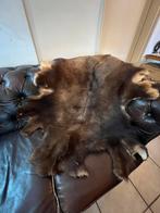 Echte Gems/berggeit kleed, Ophalen, Zo goed als nieuw, Rechthoekig, 100 tot 150 cm