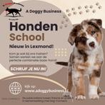 Hondenschool Lexmond, Training of Cursus