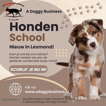 Hondenschool Lexmond beschikbaar voor biedingen