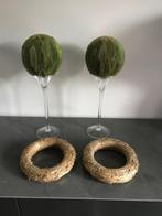 tulpvazen met isomobol gevriesdroogde bladeren - nieuw, Ophalen of Verzenden, Nieuw, Meerdere media