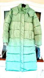 Lange gewatteerde lime groene glans jas! (nieuw!), Kleding | Dames, Jassen | Winter, Ophalen of Verzenden, Nieuw, Maat 36 (S)