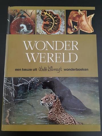 Wonder wereld een keuze uit Walt Disney's wonderboeken beschikbaar voor biedingen