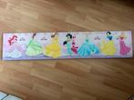 Canvas disney prinsessen, Ophalen, Zo goed als nieuw, Wanddecoratie