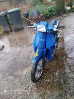 Honda scoopy sh50, Ophalen, Gebruikt, Maximaal 45 km/u, Overige modellen