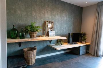 wandplank, muurplank, boomplank, boomstamplank beschikbaar voor biedingen