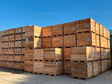 Palletboxen kratten kuubskisten plantenbox beschikbaar voor biedingen