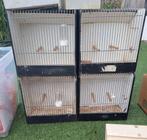 TT kooien klein, Ophalen of Verzenden, Hout, Vogelkooi