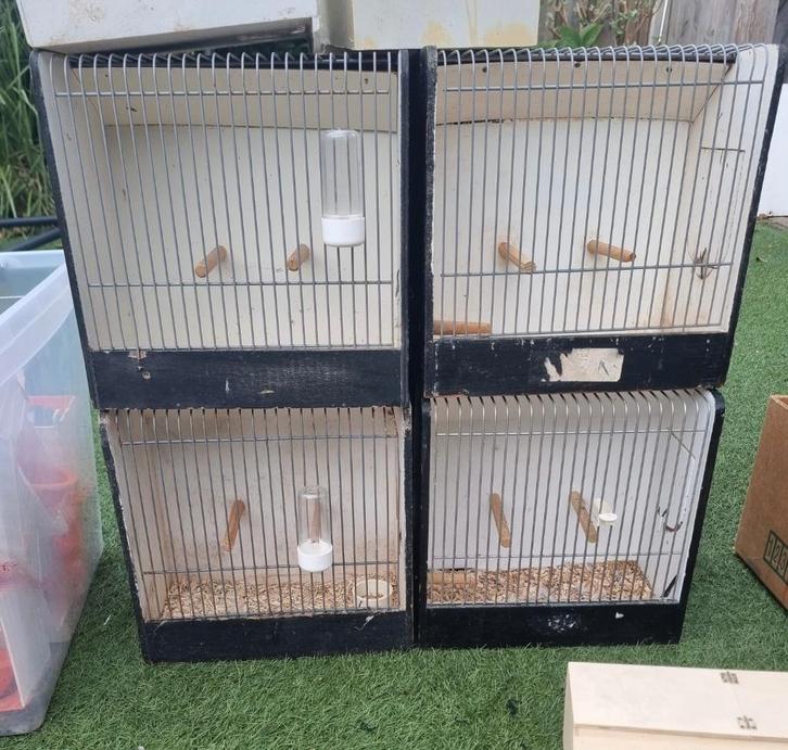 TT kooien klein, Dieren en Toebehoren, Vogels | Hokken en Kooien, Vogelkooi, Hout, Ophalen of Verzenden