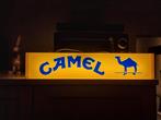 Camel vintage lichtbak/lichtreclame, Verzamelen, Ophalen of Verzenden, Zo goed als nieuw