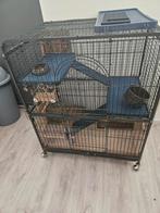 Knaagdierenkooi te koop, Ophalen, Kooi, Zo goed als nieuw, 90 cm of meer