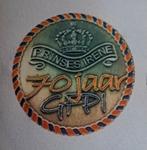 GFPI Penning 70 Jaar Prinses Irene (2011), Ophalen of Verzenden, Landmacht, Nederland