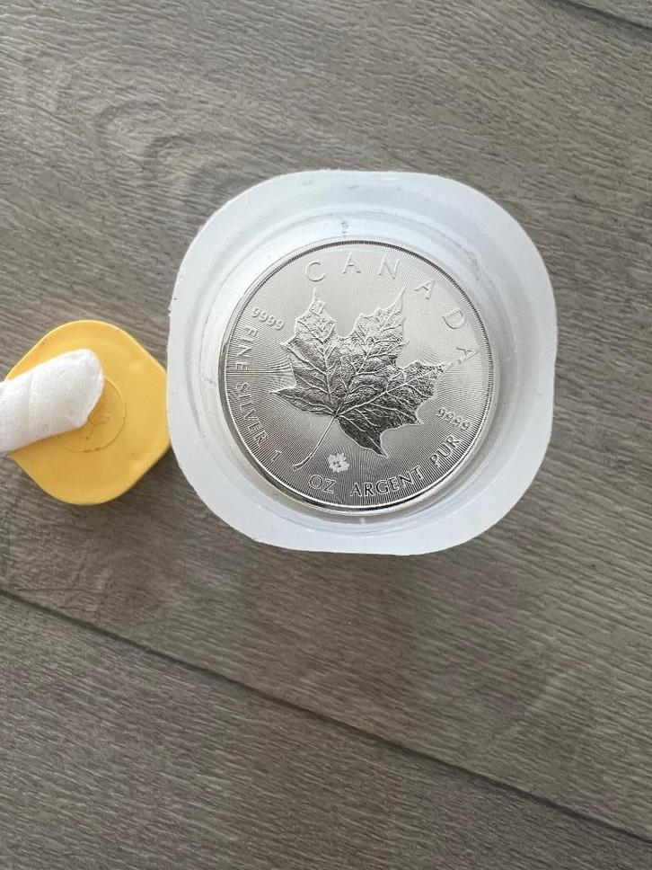 1 Oz Maple leaf (vaste prijs en prijs per stuk)., Postzegels en Munten, Edelmetalen en Baren, Zilver, Ophalen of Verzenden
