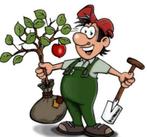 Tuinman gezocht? Zoek dan niet verder!