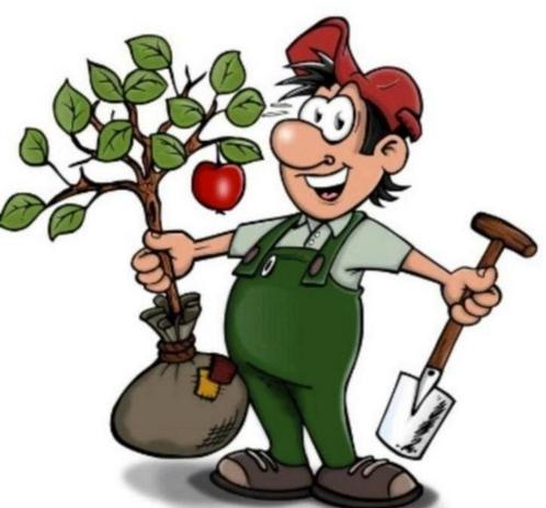 Tuinman gezocht? Zoek dan niet verder!, Diensten en Vakmensen, Tuinmannen en Stratenmakers