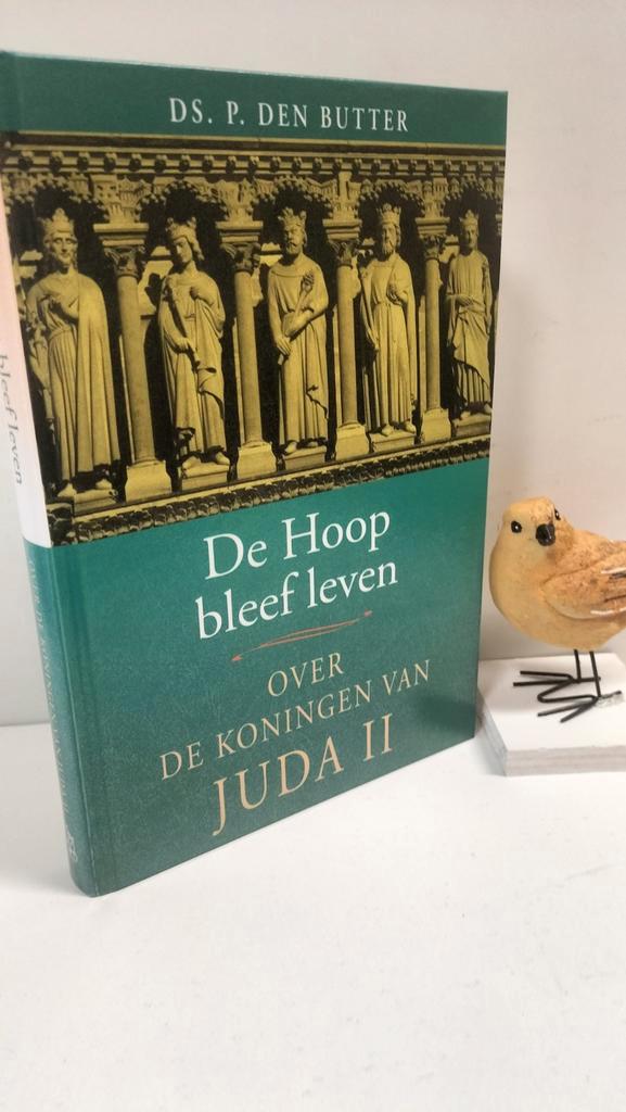Butter, Ds. P. den; De Hoop bleef leven (over de koningen va, Boeken, Godsdienst en Theologie, Gelezen, Christendom | Protestants