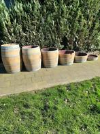 plantenbak bloembak boombak plantenschaal ton vat barrel, Tuin en Terras, Bloembakken en Plantenbakken, Nieuw, Tuin, Rond, Hout