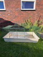 Cavia / konijnen kooi - binnen - 116x56cm, Dieren en Toebehoren, Kooi, Cavia, Ophalen, Minder dan 60 cm