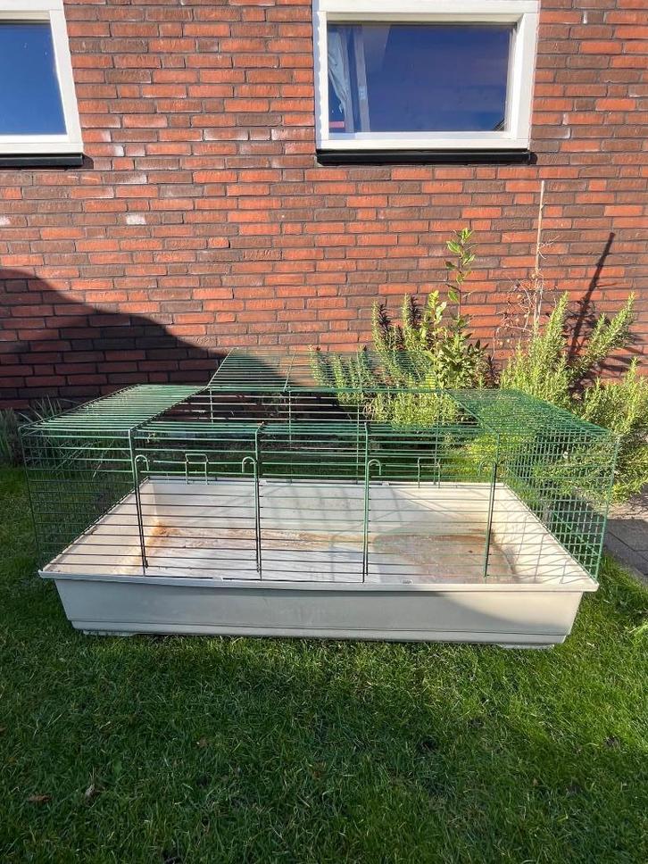 Cavia / konijnen kooi - binnen - 116x56cm, Dieren en Toebehoren, Knaagdieren en Konijnen | Hokken en Kooien, Gebruikt, Kooi, Minder dan 60 cm