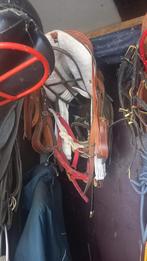 Paarden benodigheden, Dieren en Toebehoren, Paarden en Pony's | Hoofdstellen en Tuigage, Ophalen, Overige soorten