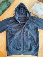 Gevoerde vesten met capuchon, Kleding | Heren, Truien en Vesten, Ophalen of Verzenden, Zo goed als nieuw, Maat 52/54 (L), Blauw