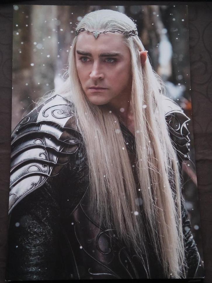 POSTER THANDRUIL LORD OF THE RINGS XPOZER OPHANGSYSTEEM PACE, Verzamelen, Lord of the Rings, Zo goed als nieuw, Overige typen