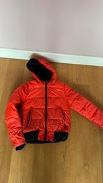 Super rebel jas 152 (140), Superrebel, Ophalen of Verzenden, Zo goed als nieuw, Jack