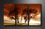 Nieuw * 3 Luik Canvas Schilderij Bomen Natuur 90x160cm, Huis en Inrichting, Woonaccessoires | Schilderijen, Tekeningen en Foto's