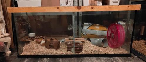 Groot Aquarium voor knaagdieren 120x45x52, Dieren en Toebehoren, Knaagdieren en Konijnen | Hokken en Kooien, Gebruikt, Hok, Minder dan 60 cm