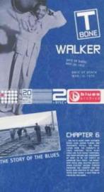 2-Cd T-Bone Walker - Sail On Boogie / Midnight Blues In Seal, Ophalen of Verzenden, 1940 tot 1960, Nieuw in verpakking, Blues