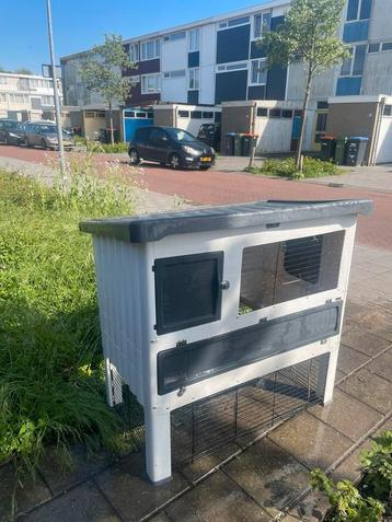 Konijnen villa beschikbaar voor biedingen