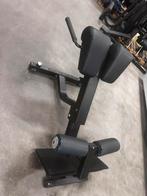 Technogym Pure Strength Lower Back Extension, Ophalen, Gebruikt, Overige typen