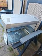 Mooi visglas met verlichting, Dieren en Toebehoren, Vissen | Aquaria en Toebehoren, Ophalen of Verzenden, Zo goed als nieuw, Leeg aquarium