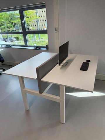 P/S te koop: 15 bureau’s te koop (2 elektr) 13*geluidsscherm