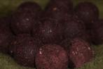 Q-Baits Insect boilie 20mm, Watersport en Boten, Ophalen of Verzenden, Nieuw, Overige typen