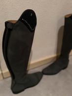 Petrie designer laarzen ongebruikt! Voet maat 41 kuit 40, Dieren en Toebehoren, Paardrijkleding, Ophalen, Dressuur, Zo goed als nieuw