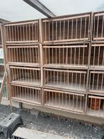Broedbakken 80 x 40 cm, Dieren en Toebehoren