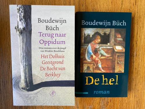 Boudewijn Buch - 2 boeken (set prijs €4,00), Boeken, Literatuur, Zo goed als nieuw, Nederland, Ophalen of Verzenden