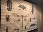 Poster insecten, Deurposter of groter, Rechthoekig Liggend, Nieuw, Ophalen of Verzenden