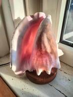 Schelp Lamp - Uniek Decoratiestuk, Huis en Inrichting, Ophalen of Verzenden, Gebruikt