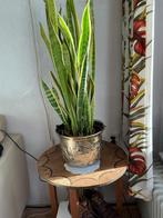 Antieke bloempot, Antiek en Kunst, Antiek | Koper en Brons, Ophalen of Verzenden