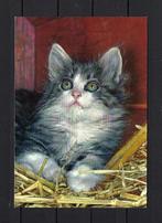 715 KATTEN, Ophalen of Verzenden, Ongelopen, Hond of Kat