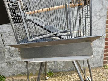 Vogel hok kooi  beschikbaar voor biedingen