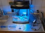 Te koop super fish aqarium met alles erbij 30 x 30 x 34 cm, Dieren en Toebehoren, Vissen | Aquaria en Toebehoren, Ophalen of Verzenden