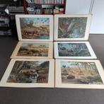 Oude Schoolplaten M.A. Koekoek - Dierenwereld, Ophalen, Natuur en Biologie