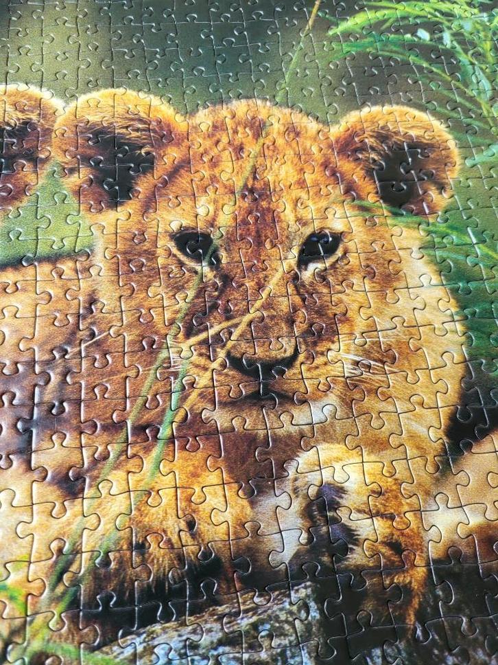 Leeuwenwelpjes puzzel 1000 stukjes - Puzzle Pleasure, Hobby en Vrije tijd, Denksport en Puzzels, Zo goed als nieuw, Legpuzzel