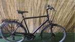 2334 Pegasus Savona